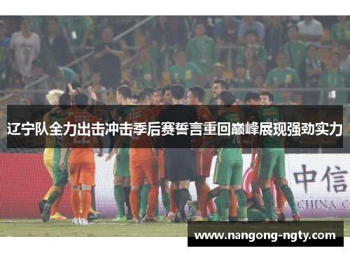 辽宁队全力出击冲击季后赛誓言重回巅峰展现强劲实力