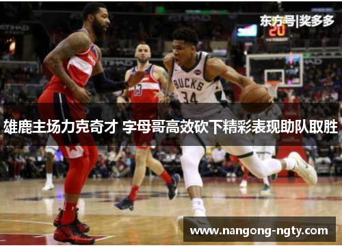 雄鹿主场力克奇才 字母哥高效砍下精彩表现助队取胜