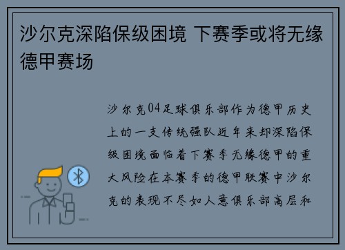 沙尔克深陷保级困境 下赛季或将无缘德甲赛场