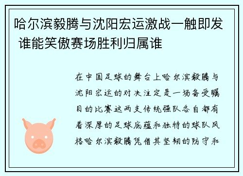 哈尔滨毅腾与沈阳宏运激战一触即发 谁能笑傲赛场胜利归属谁