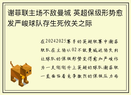 谢菲联主场不敌曼城 英超保级形势愈发严峻球队存生死攸关之际